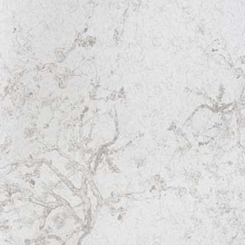 REF210C01 