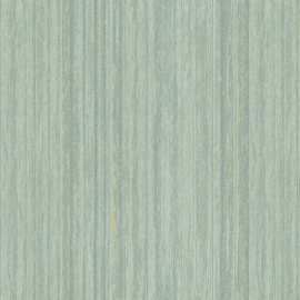s10350-07 s10350-07