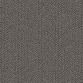 SHELTER TEX5 002/2