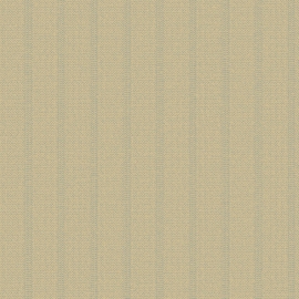SHELTER TEX6 004