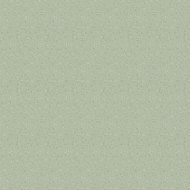 V3 005