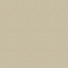 V3 008