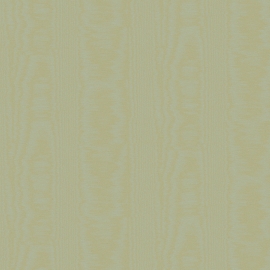 V5 005