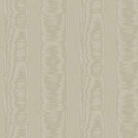 V5 008