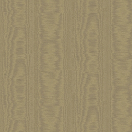 V5 010