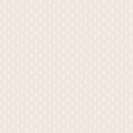 54255-2