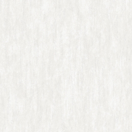 54289-2