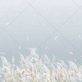 OFA1120-COL2