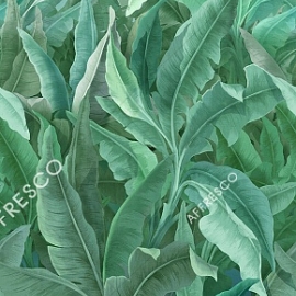 OFA2011-COL1