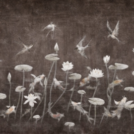 hanami_03