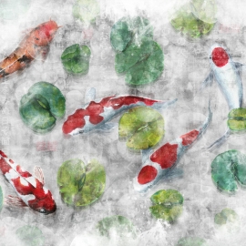koi_03