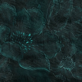 SN106-COL1