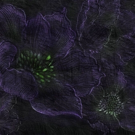 SN106-COL3