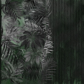SN87-COL2